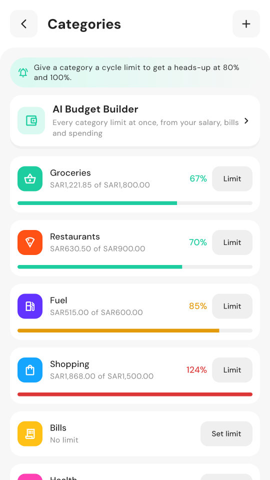 Category limits and how much of each is used