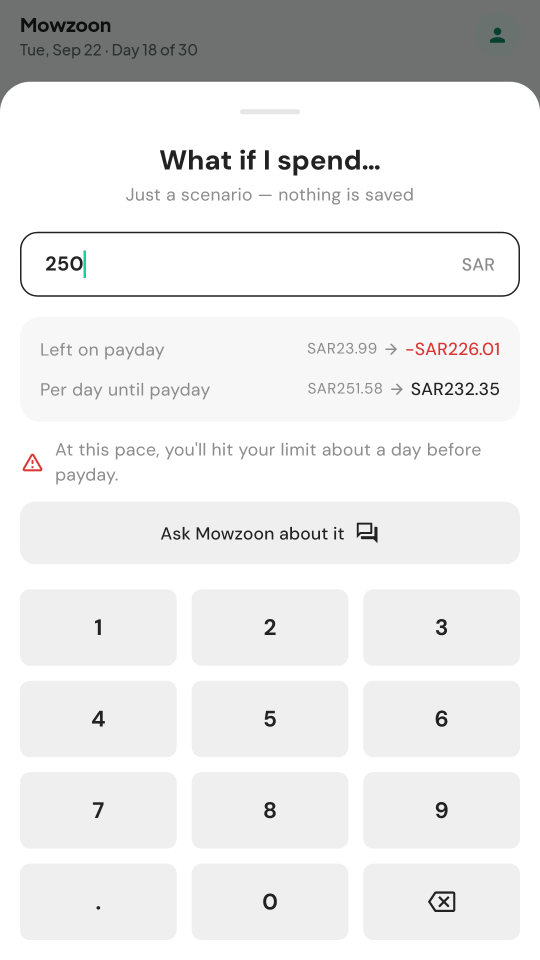 What if I spend: checking a purchase before making it